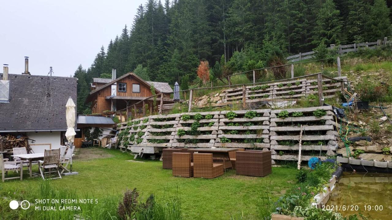 Chalet Steiermark Pusterwald Dış mekan fotoğraf
