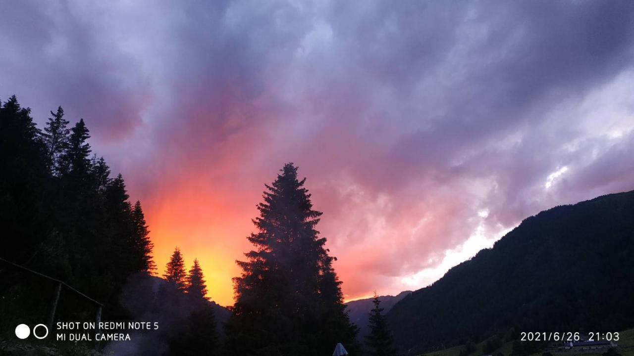 Chalet Steiermark Pusterwald Dış mekan fotoğraf