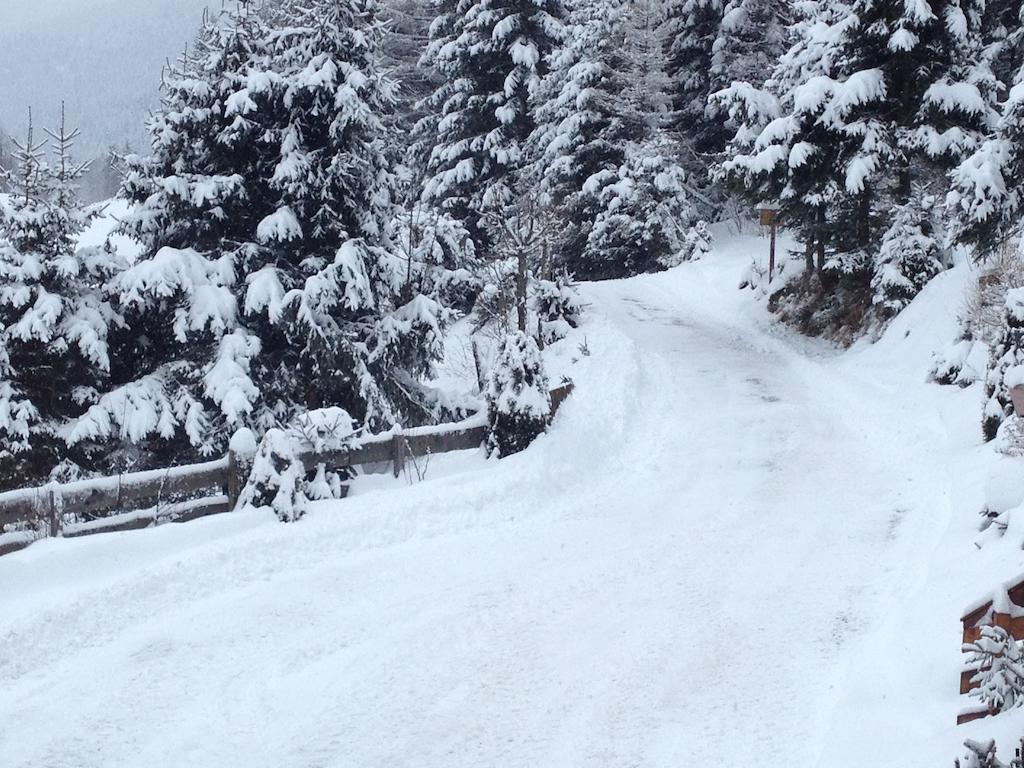 Chalet Steiermark Pusterwald Oda fotoğraf